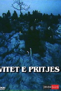 Vitet e pritjes