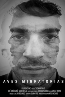 Aves migratorias