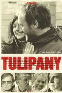 Tulipany