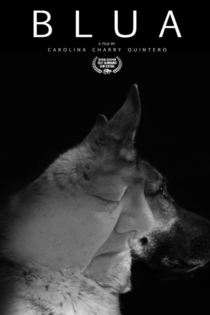 Blua