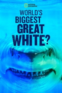 World's Biggest Great White? Expedition Hawaii