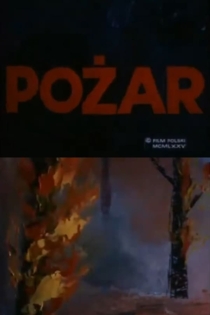 Pozar