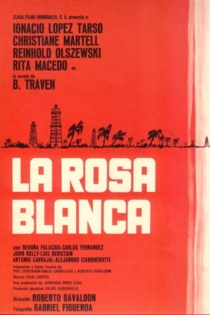 La Rosa Blanca