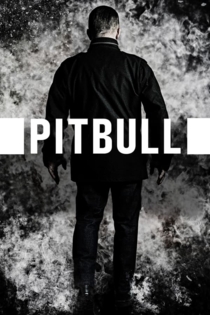 Pitbull