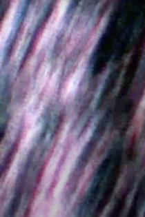 all life, everywhere