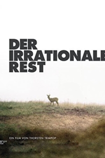 Der irrationale Rest