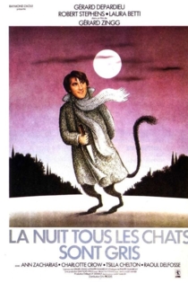 La nuit, tous les chats sont gris