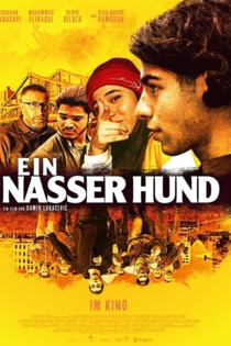Ein nasser Hund