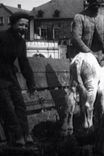 Leben und Treiben auf dem Viehmarkt