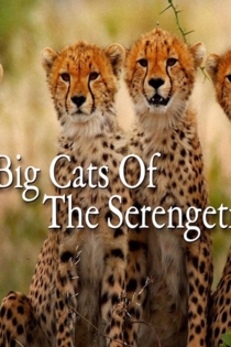 Big Cats of the Serengeti