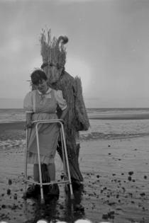 The Sun Came Dripping a Bucket Full of Gold