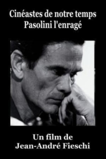 Pasolini l'enrage