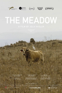 The Meadow