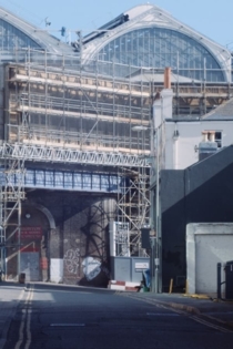 A Spring in Endless Bloom