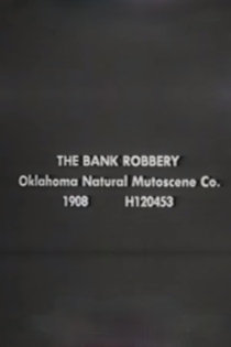 The Bank Robbery