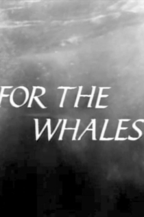 For The Whales