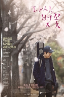 Cherry Blossoms, Again