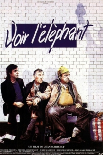 Voir l'éléphant