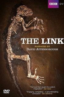 Uncovering Our Earliest Ancestor: The Link