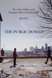 The Public Domain