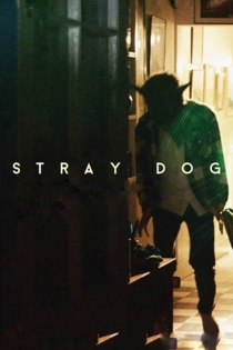 Stray Dog