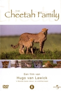 Cheetah Story