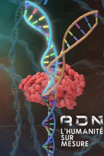 ADN : l'humanité sur mesure