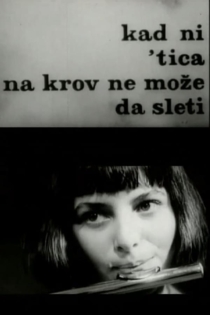 Kad ni 'tica na krov ne može da sleti