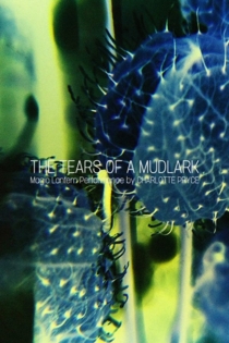 The Tears of a Mudlark