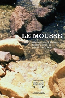 Le Mousse