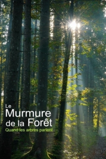 Unsere Wälder - Die Sprache der Bäume