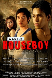 Wanted: Houseboy