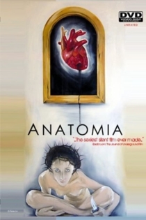 Anatomia
