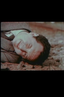 Vida, pasión y muerte de un realizador iracundo