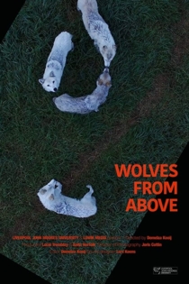 Wolves From Above