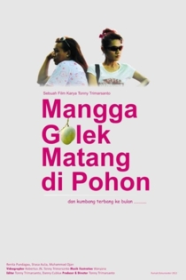 Mangga Golek Matang di Pohon