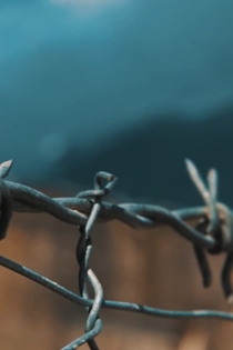 Femijet E Diktatures