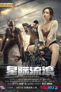 Interstellar Wandering