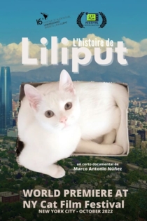L'historie De Liliput