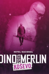 Dino Merlin Live Koševo 2015