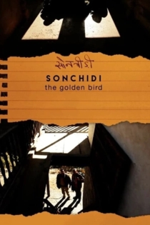 Sonchidi