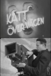 Katt över vägen