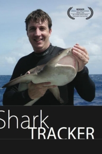 Shark Tracker