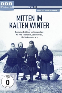 Mitten im kalten Winter