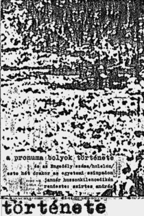 A Pronuma bolyok története