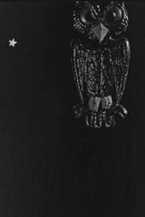 The Spider and the Fly