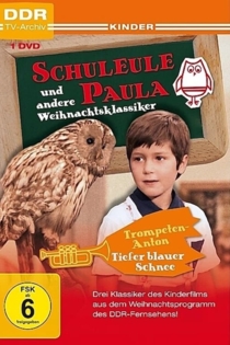 Die Schuleule Paula