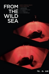 From the Wild Sea