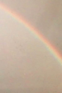 The Forcing (epilogue)