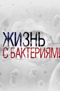 Жизнь с бактериями